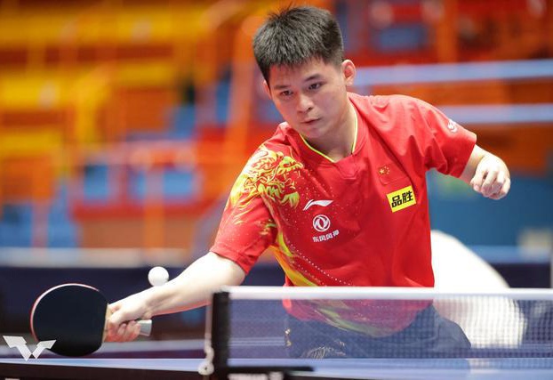 是未来羽毛 是未来羽毛